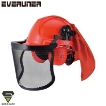 ER9404 Face shield earmuffs helmet set